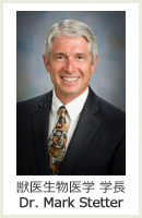 b㐶w w Dr. Mark Stetter