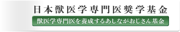 {bw㏧ŵm点